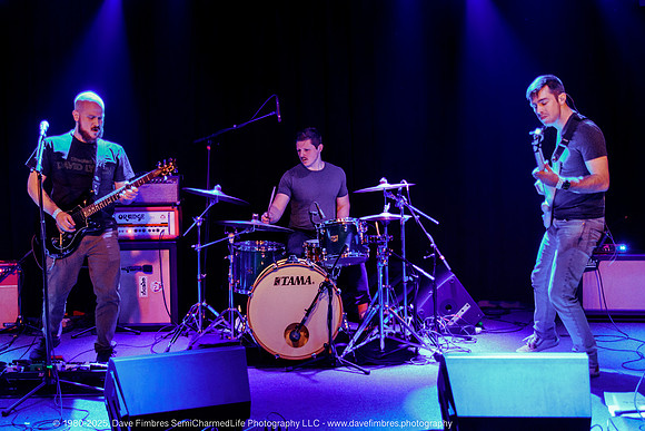 20250319 A Shrewdness of Apes at Jammin' Java 9895-2
