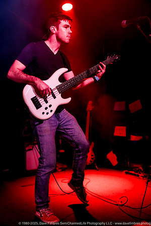 20250319 A Shrewdness of Apes at Jammin' Java 9786