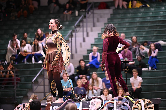 Z62_9172