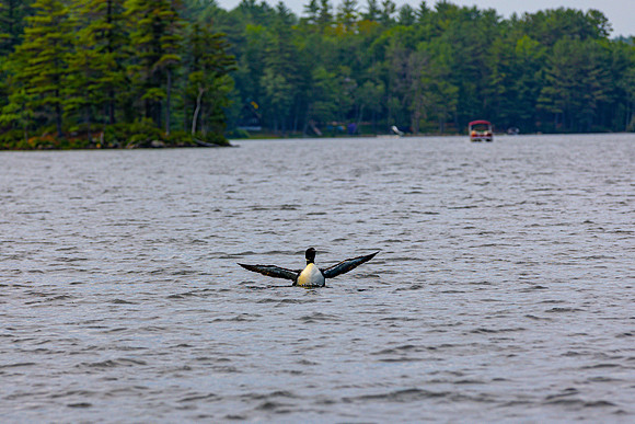 20220712 Maine Trip 0174