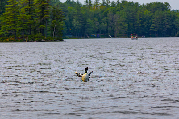 20220712 Maine Trip 0175